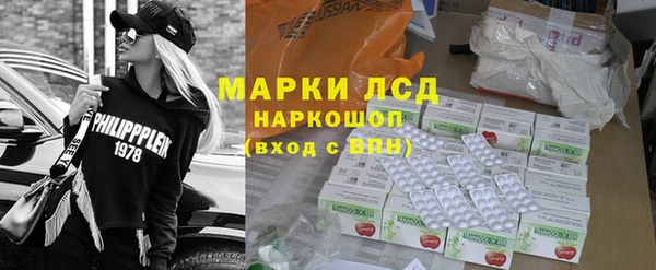прущие грибы Пересвет